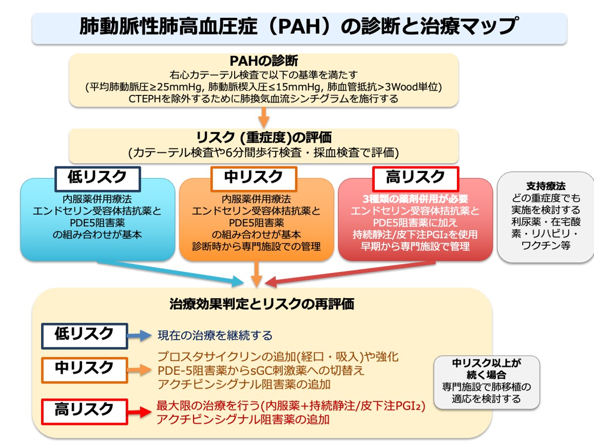 図は肺動脈性肺高血圧症（PAH）の診断と治療マップを示す