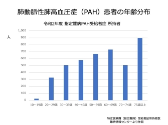 肺 高血圧 症