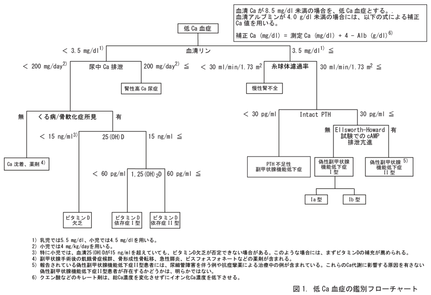 は と テタニー 症状