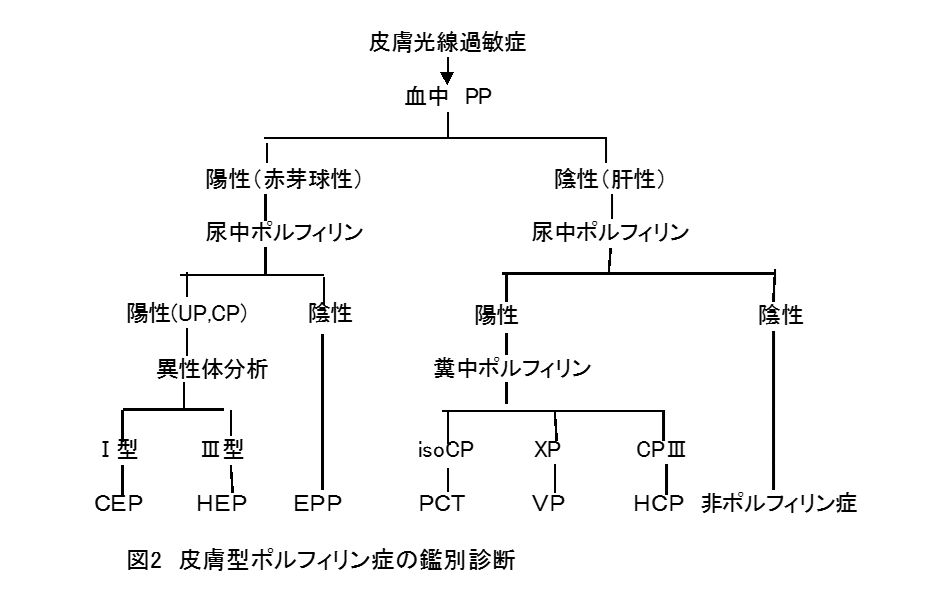 ポルフィリン症とは何ですか?